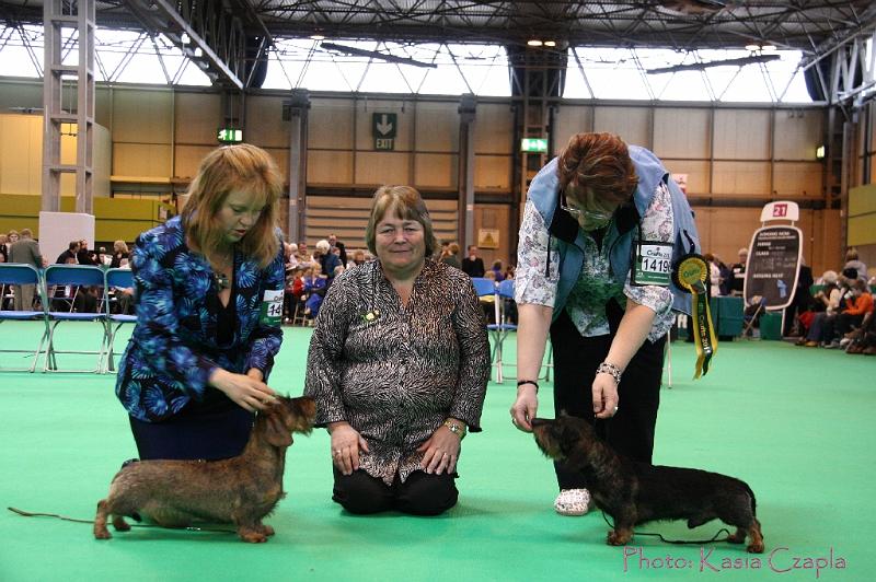 Crufts2011_2 1656.jpg